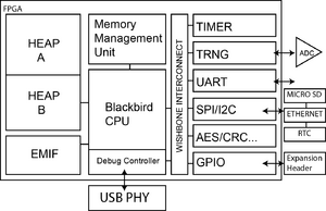 Blackbird SoC